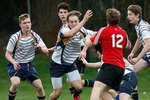 开云体育登陆入口-全国青少年轮滑自由式赛场上精彩纷呈，第五届全国自由式轮滑锦标赛